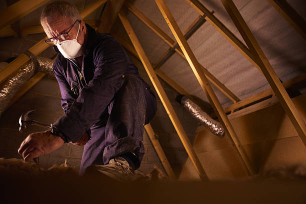 Best Commercial Insulation in Cedarville, OH